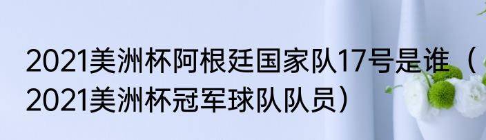 2021美洲杯阿根廷阵容强度（2021美洲杯阿根廷国家队17号是谁）