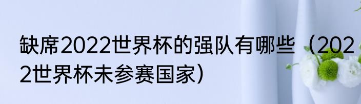 缺席2022世界杯的强队有哪些(2022世界杯未参赛国家)
