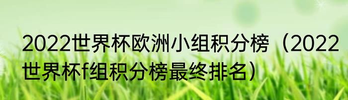 2022世界杯欧洲小组积分榜（2022世界杯f组积分榜最终排名）