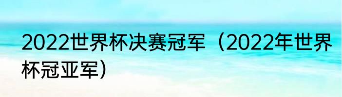 2022世界杯决赛冠军(2022年世界杯冠亚军)