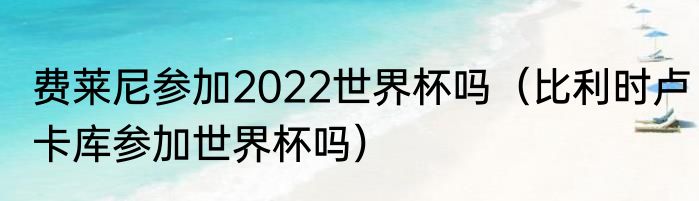 费莱尼参加2022世界杯吗（比利时卢卡库参加世界杯吗）