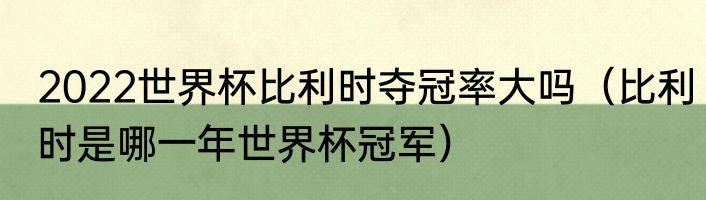 2022世界杯比利时夺冠率大吗（比利时是哪一年世界杯冠军）