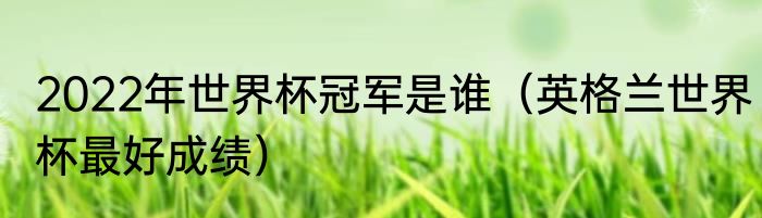 2022年世界杯冠军是谁（英格兰世界杯最好成绩）