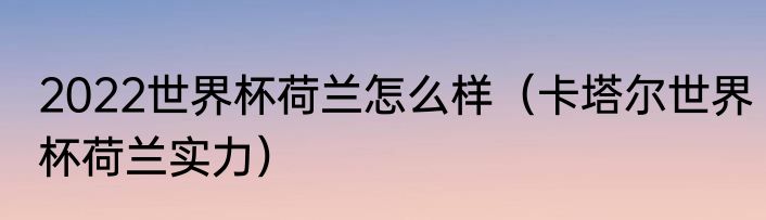 2022世界杯荷兰怎么样（卡塔尔世界杯荷兰实力）