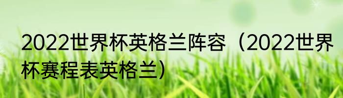 2022世界杯英格兰阵容（2022世界杯赛程表英格兰）