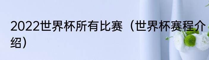 2022世界杯所有比赛(世界杯赛程介绍)