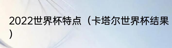 2022世界杯特点（卡塔尔世界杯结果）