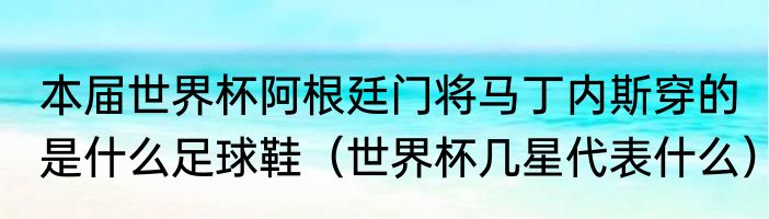 本届世界杯阿根廷门将马丁内斯穿的是什么足球鞋（世界杯几星代表什么）