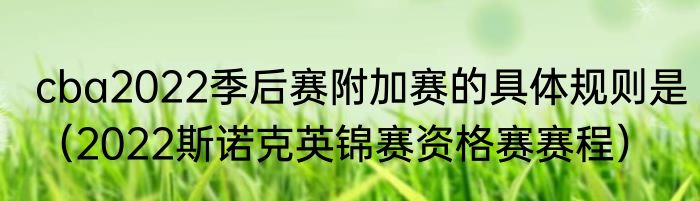 cba2022季后赛附加赛的具体规则是（2022斯诺克英锦赛资格赛赛程）