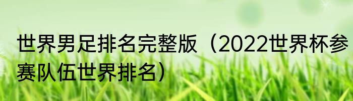 世界男足排名完整版（2022世界杯参赛队伍世界排名）