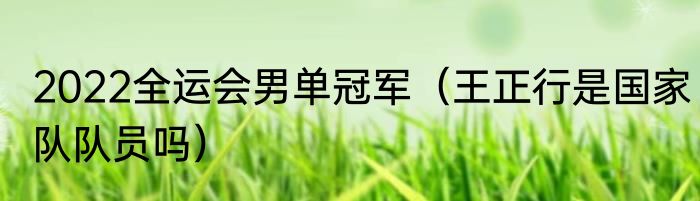 2022全运会男单冠军（王正行是国家队队员吗）