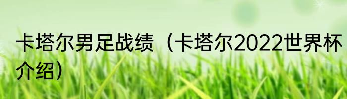 卡塔尔男足战绩（卡塔尔2022世界杯介绍）