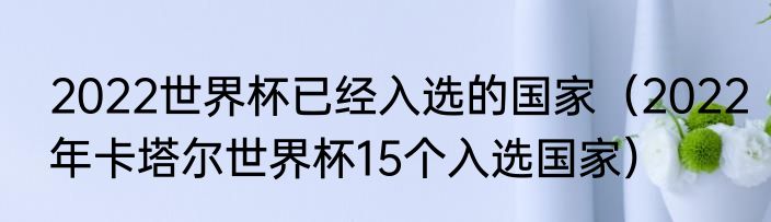2022世界杯已经入选的国家（2022年卡塔尔世界杯15个入选国家）