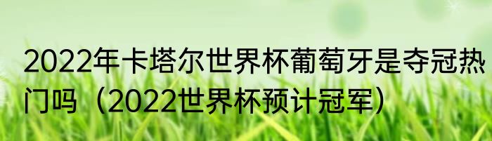 2022年卡塔尔世界杯葡萄牙是夺冠热门吗（2022世界杯预计冠军）