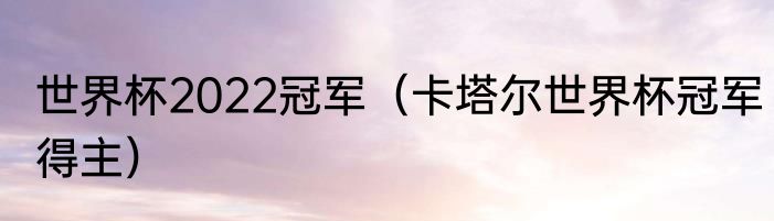 世界杯2022冠军（卡塔尔世界杯冠军得主）