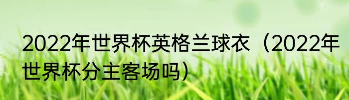 2022年世界杯英格兰球衣（2022年世界杯分主客场吗）