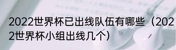 2022世界杯已出线队伍有哪些（2022世界杯小组出线几个）