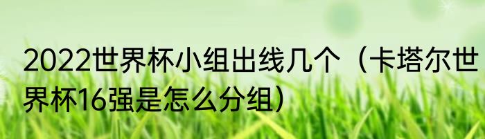 2022世界杯小组出线几个（卡塔尔世界杯16强是怎么分组）