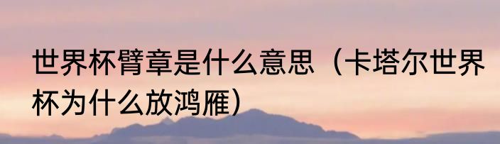 世界杯臂章是什么意思（卡塔尔世界杯为什么放鸿雁）