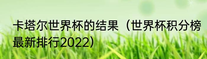 卡塔尔世界杯的结果（世界杯积分榜最新排行2022）