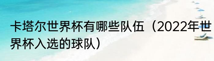 卡塔尔世界杯有哪些队伍（2022年世界杯入选的球队）