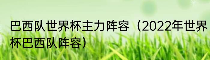 巴西队世界杯主力阵容（2022年世界杯巴西队阵容）