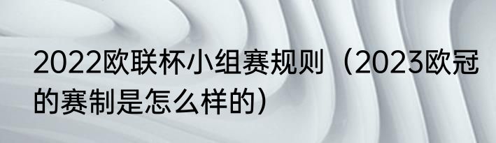 2022欧联杯小组赛规则（2023欧冠的赛制是怎么样的）