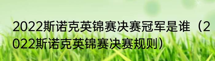 2022斯诺克英锦赛决赛冠军是谁（2022斯诺克英锦赛决赛规则）