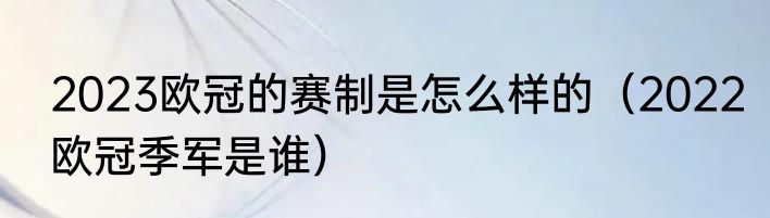 2023欧冠的赛制是怎么样的（2022欧冠季军是谁）