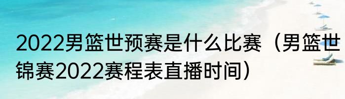 2022男篮世预赛是什么比赛（男篮世锦赛2022赛程表直播时间）