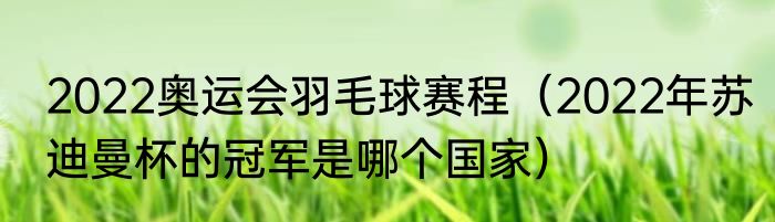 2022奥运会羽毛球赛程（2022年苏迪曼杯的冠军是哪个国家）
