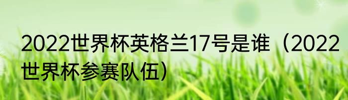 2022世界杯英格兰17号是谁（2022世界杯参赛队伍）