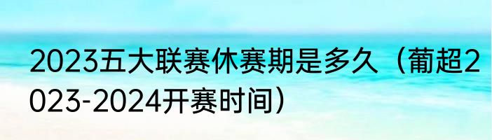 2023五大联赛休赛期是多久（葡超2023-2024开赛时间）