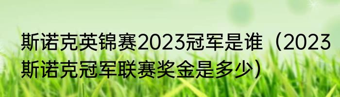 斯诺克英锦赛2023冠军是谁（2023斯诺克冠军联赛奖金是多少）