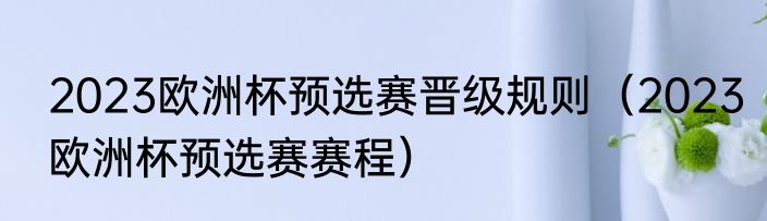 2023欧洲杯预选赛晋级规则（2023欧洲杯预选赛赛程）