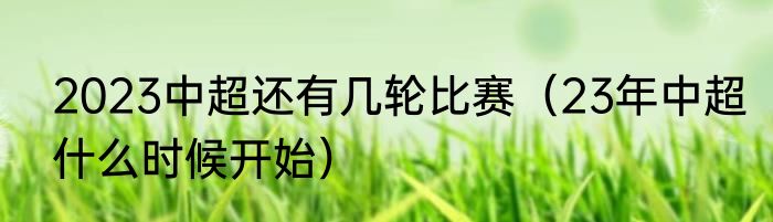 2023中超还有几轮比赛（23年中超什么时候开始）