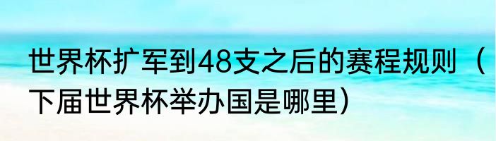 世界杯扩军到48支之后的赛程规则（下届世界杯举办国是哪里）