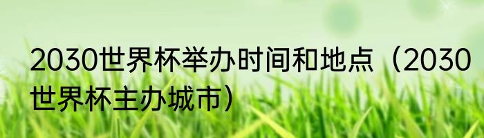 2030世界杯举办时间和地点（2030世界杯主办城市）