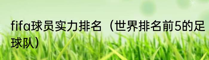 fifa球员实力排名（世界排名前5的足球队）