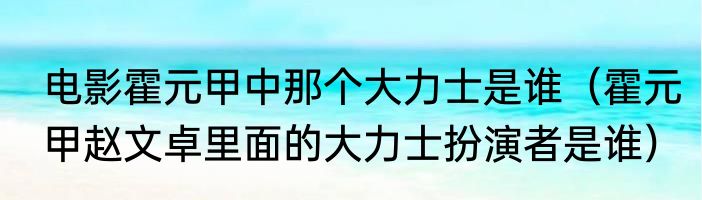 电影霍元甲中那个大力士是谁（霍元甲赵文卓里面的大力士扮演者是谁）