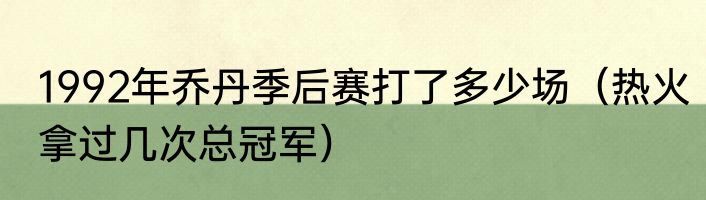 1992年乔丹季后赛打了多少场（热火拿过几次总冠军）