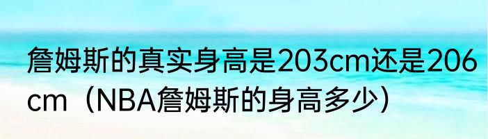 詹姆斯的真实身高是203cm还是206cm（NBA詹姆斯的身高多少）