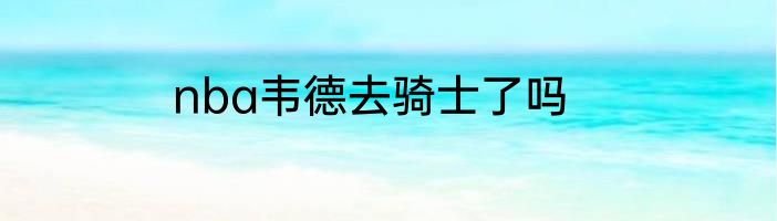 nba韦德去骑士了吗