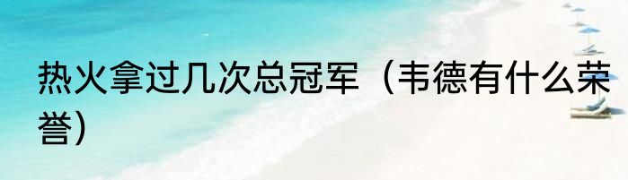 热火拿过几次总冠军（韦德有什么荣誉）