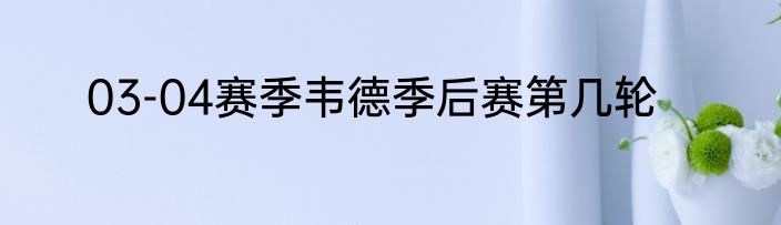 03-04赛季韦德季后赛第几轮