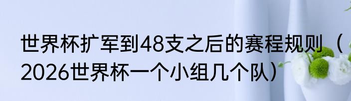 世界杯扩军到48支之后的赛程规则（2026世界杯一个小组几个队）