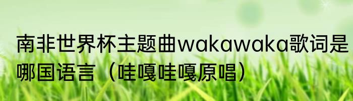 南非世界杯主题曲wakawaka歌词是哪国语言（哇嘎哇嘎原唱）
