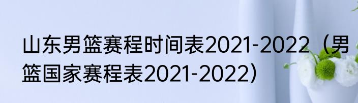山东男篮赛程时间表2021-2022（男篮国家赛程表2021-2022）