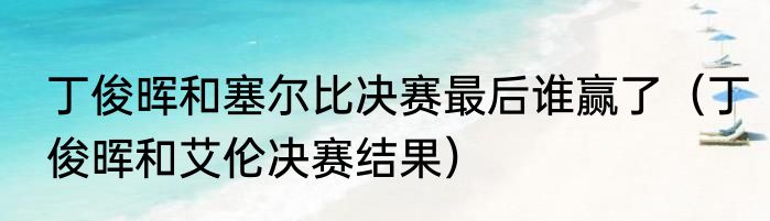 丁俊晖和塞尔比决赛最后谁赢了（丁俊晖和艾伦决赛结果）