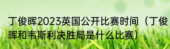 丁俊晖2023英国公开比赛时间（丁俊晖和韦斯利决胜局是什么比赛）